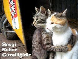 Kadir