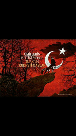 Murat