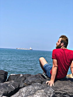 Bozkurt