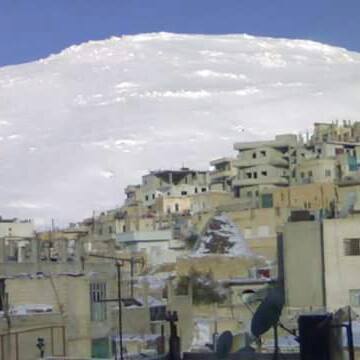 فادي