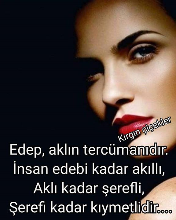 Melek