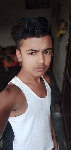 Stayle