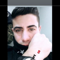 Bulut