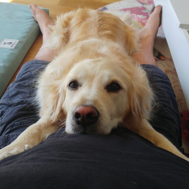 Vasko