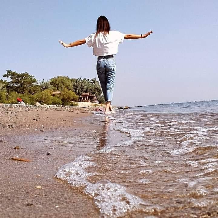 Nese
