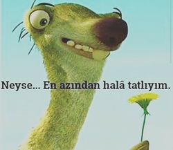 Yıldırım