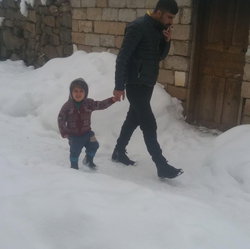 Erol