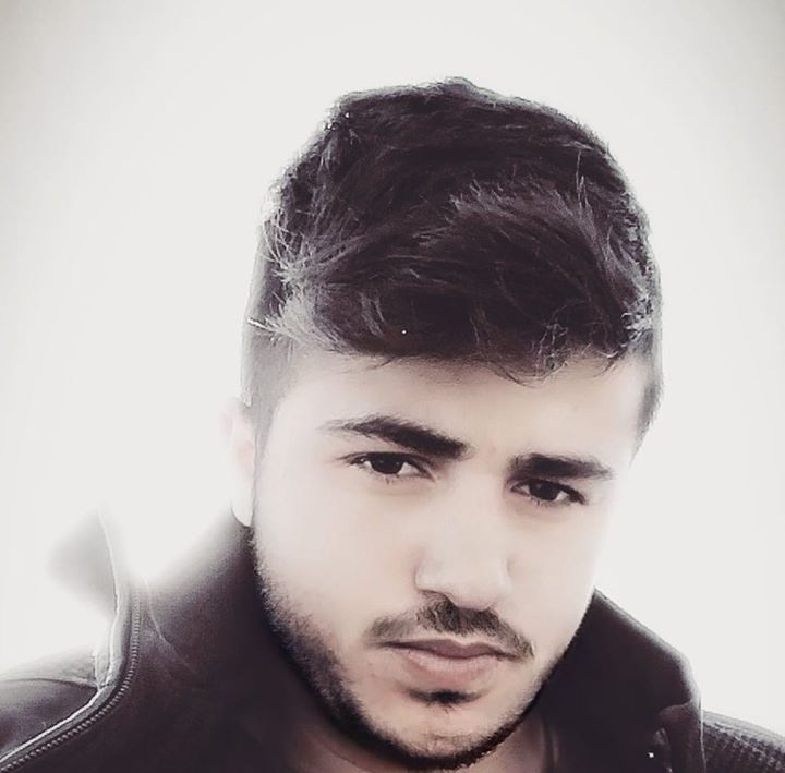 Şahin