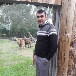 Ercan