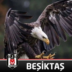 Canı