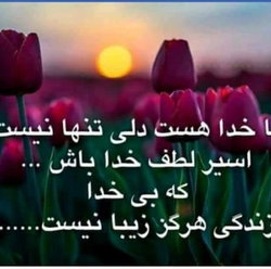 تمیم