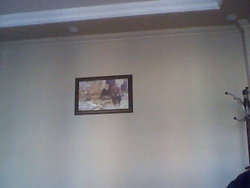 Tolga