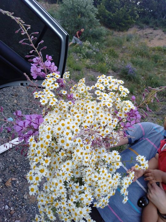 Emine