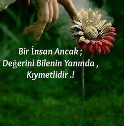 Özlem
