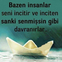 Neşe
