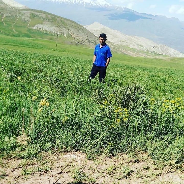 Mehmet
