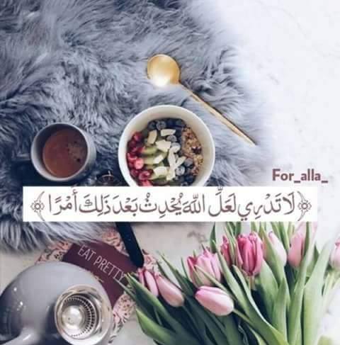 تيم