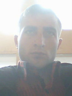 Şahin