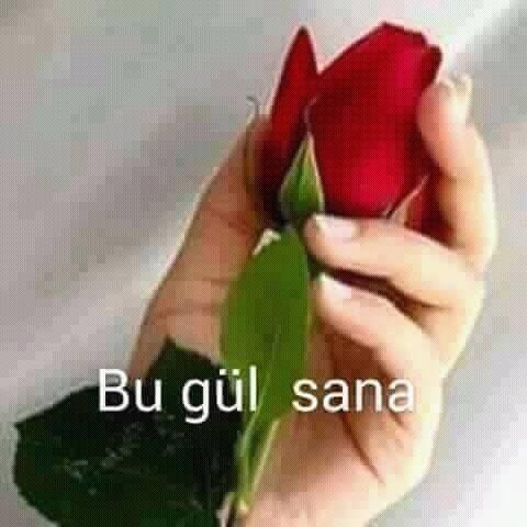 Hayat