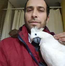 Kalyoncu