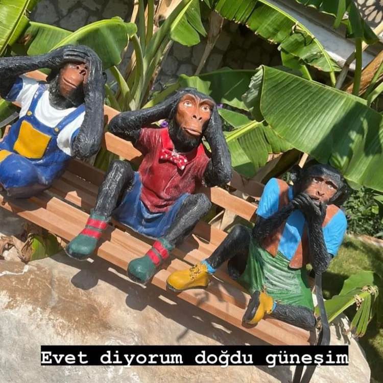 Deniz