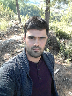 Erdi