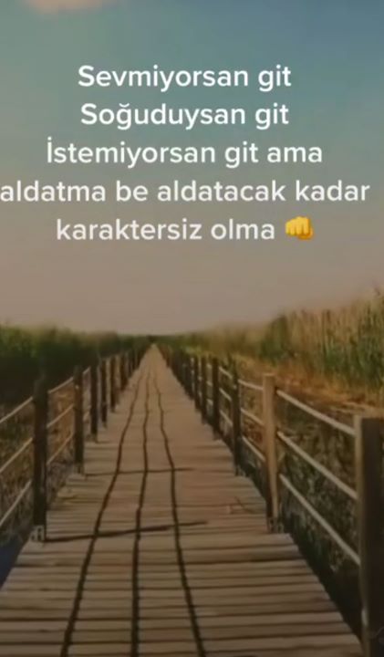 Şahin
