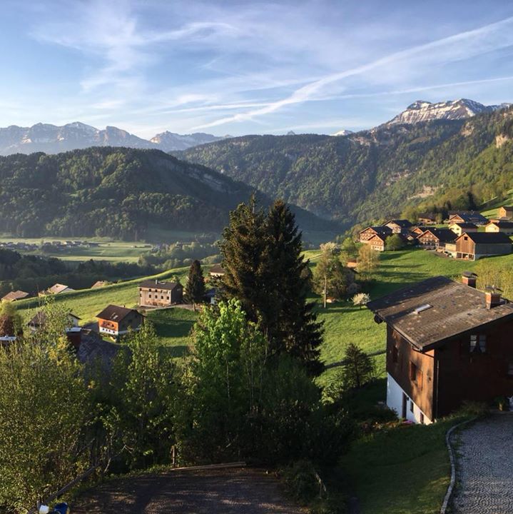 Vahit