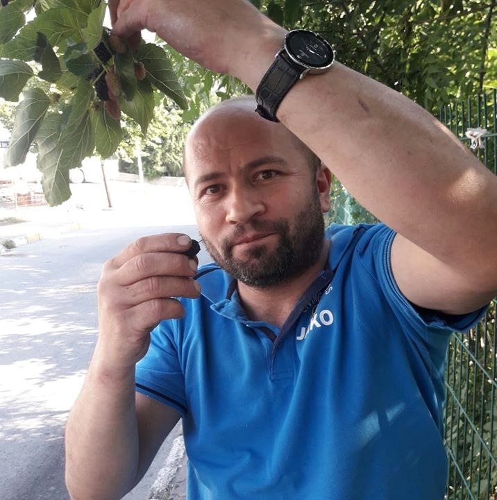 Davut