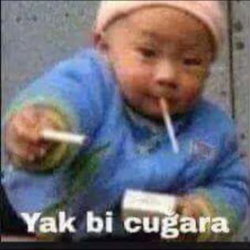 Beytullah