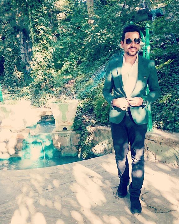 Şahin