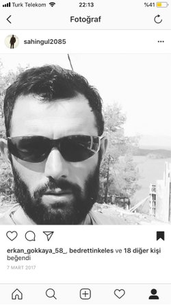 Şahin