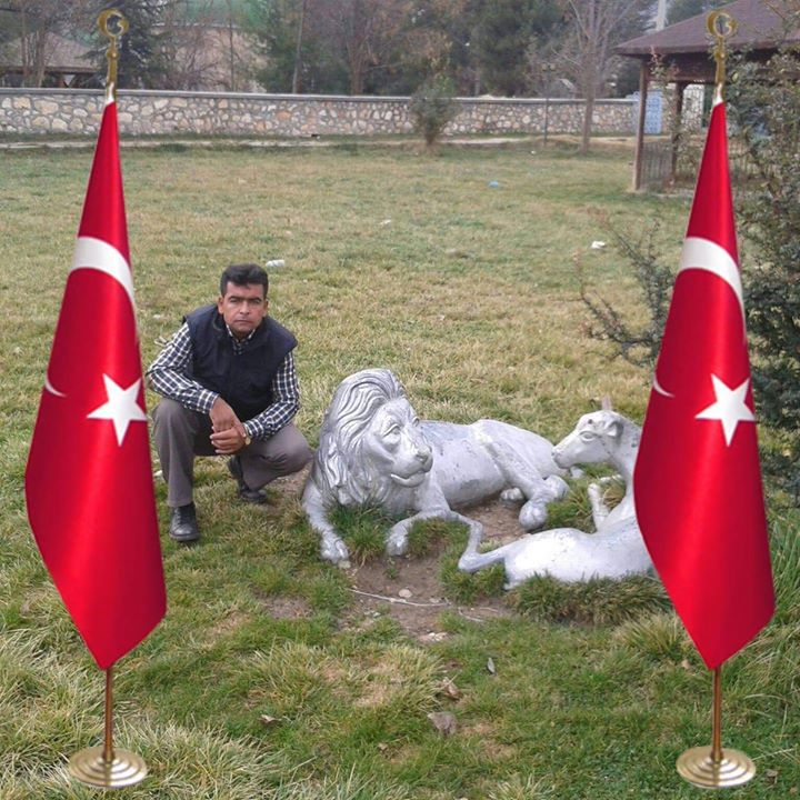 Ali