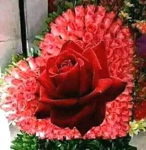 Hamd