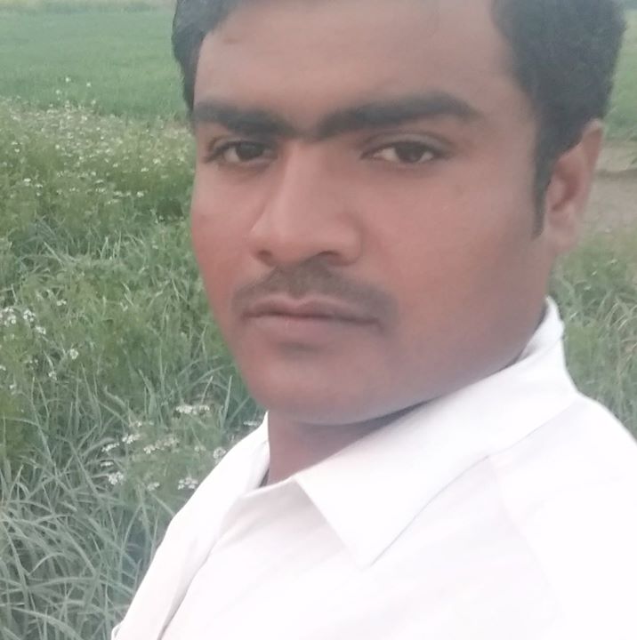 Noor
