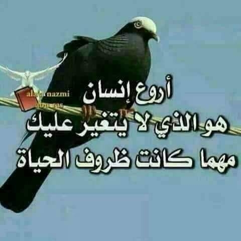 سامر