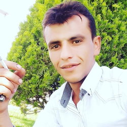 Ali