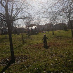 Nermin