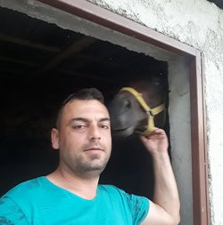 Ferdi