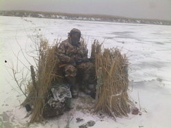 Turgay