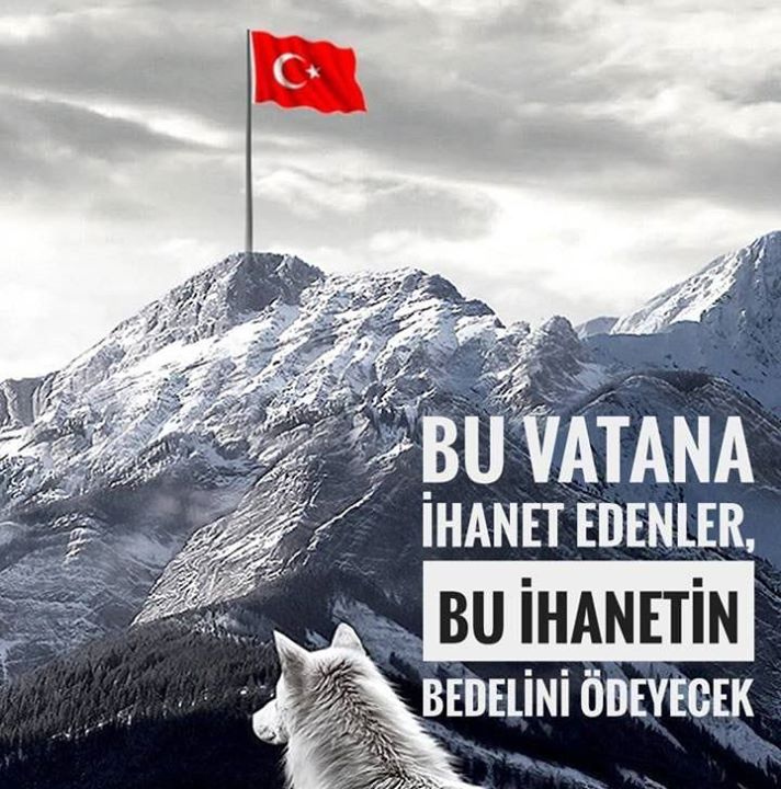 Alikema