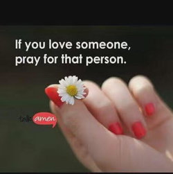 Moiz