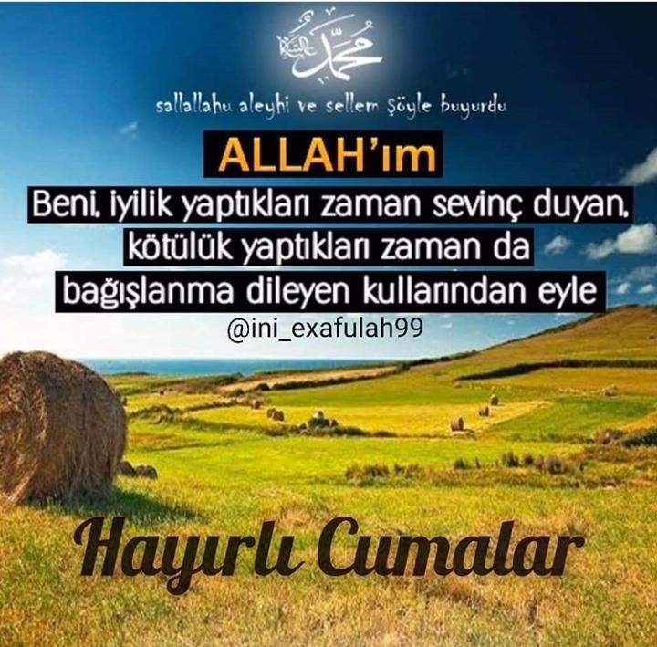 Elanur