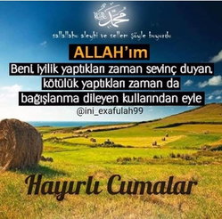 Elanur