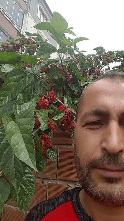 Orhan