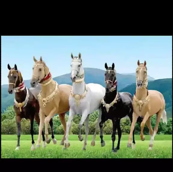 Arslan