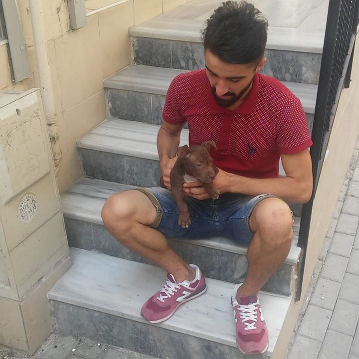 Memet