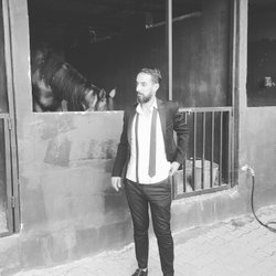 Şahin
