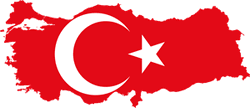 Metin