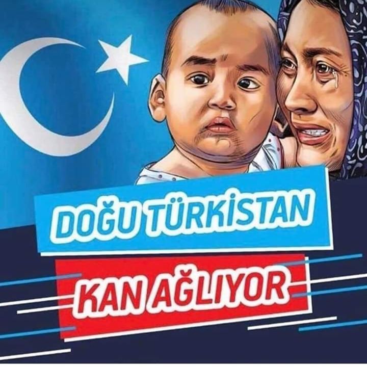 Elvan
